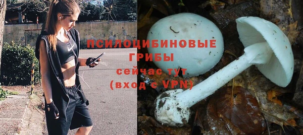мет Касимов