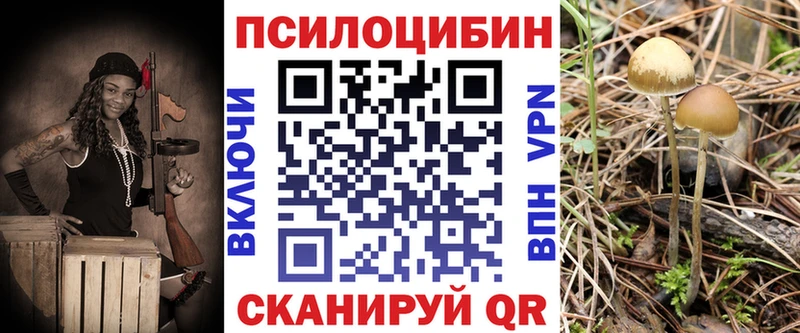 Галлюциногенные грибы прущие грибы  где купить наркотик  Шуя 